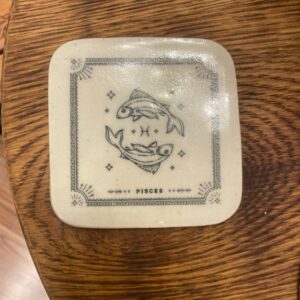 Pisces Coaster