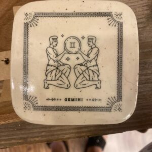 Gemini Coaster